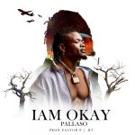 I Am Okay by Pallaso