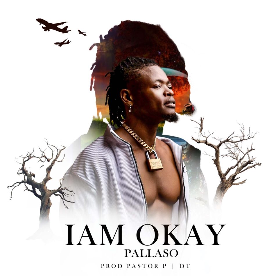 I Am Okay by Pallaso
